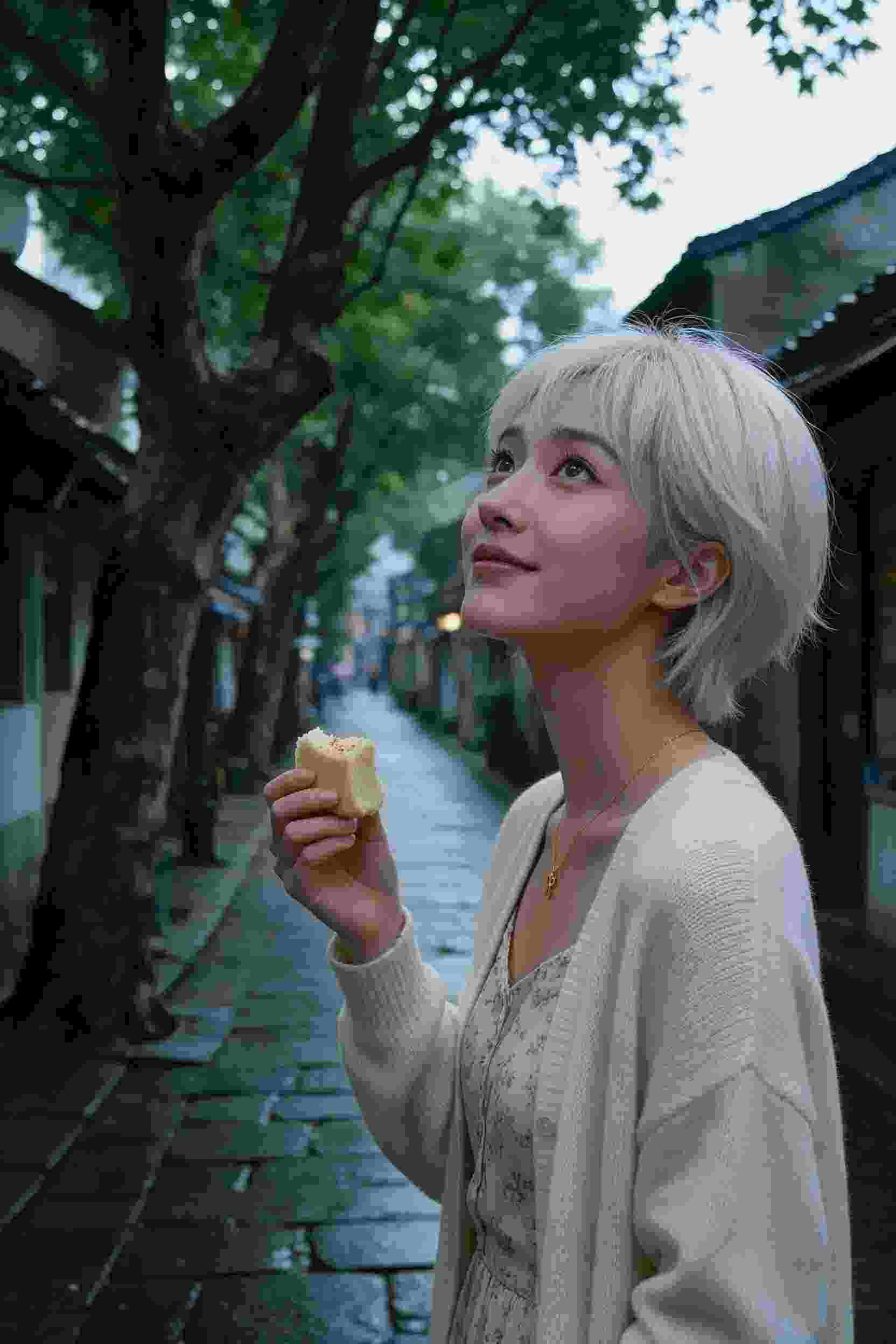 龙城传奇